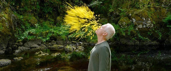 Read more about the article Andy Goldsworthy- Short notes | Know everything in seconds-artandcrafter.com Land art