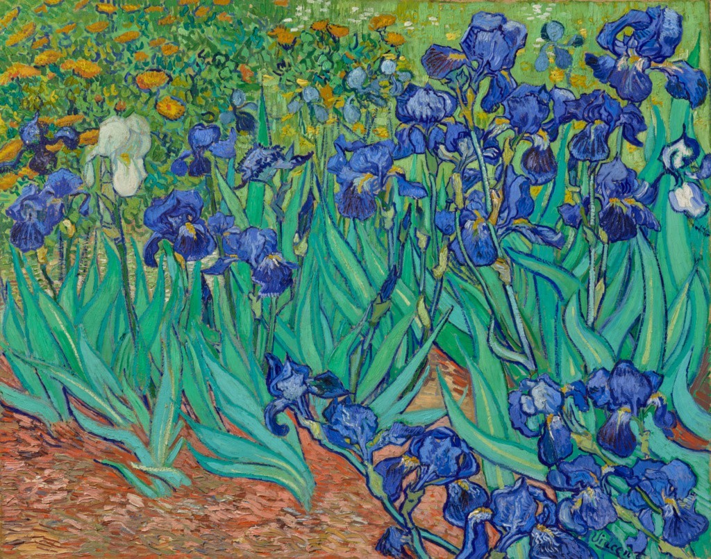 Irises (painting)