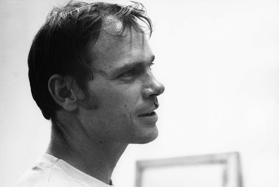 Read more about the article Michael Heizer- Short notes | Know everything in seconds-artandcrafter.com Land art