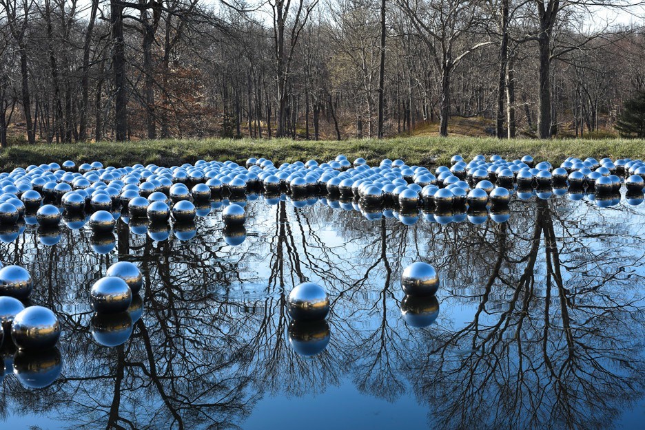 Narcissus Garden
