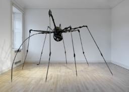 Spider (Bourgeois)