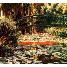 Water Lily Pond