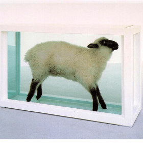 Away from the Flock Away from the Flock
