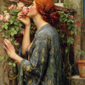 The Soul of the Rose The Soul of the Rose